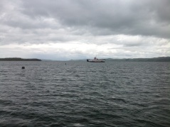 The only moving thing in Ardminish Bay today except for the clouds - the ferry.